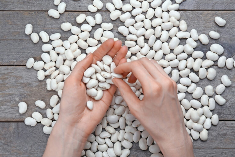 butter beans