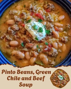 Green Chile and Beef Soup