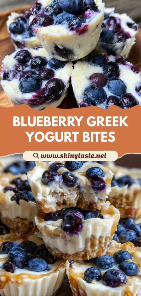 Blueberry Greek Yogurt Bites