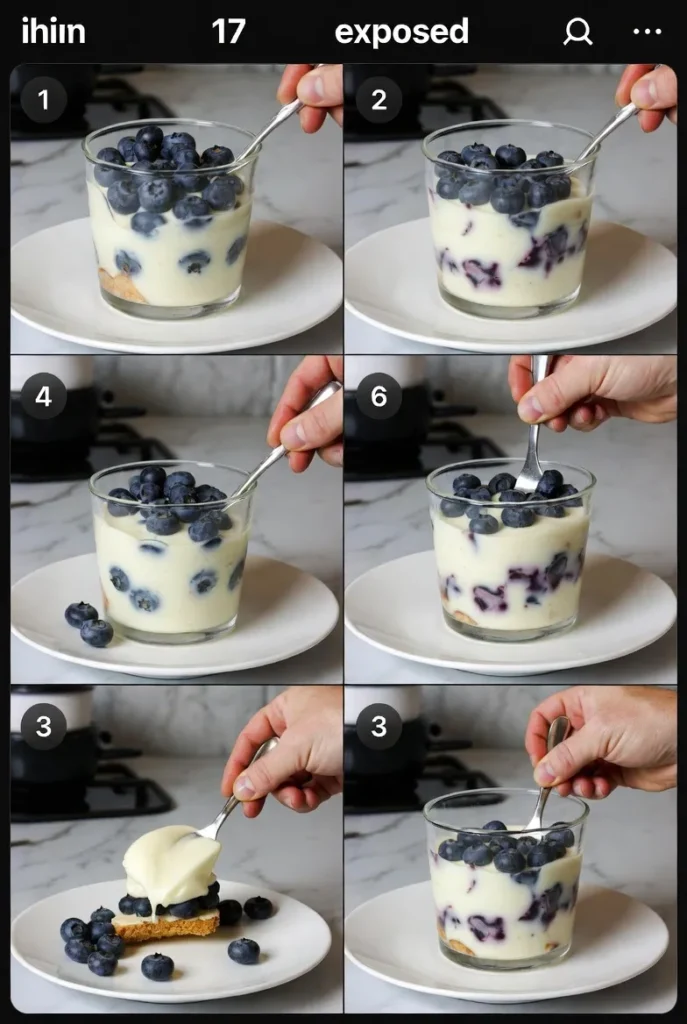 Blueberry Swirl Yogurt Bites