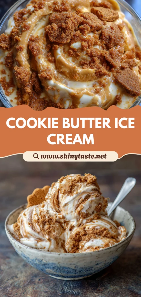 Homemade Cookie Butter Ice Cream